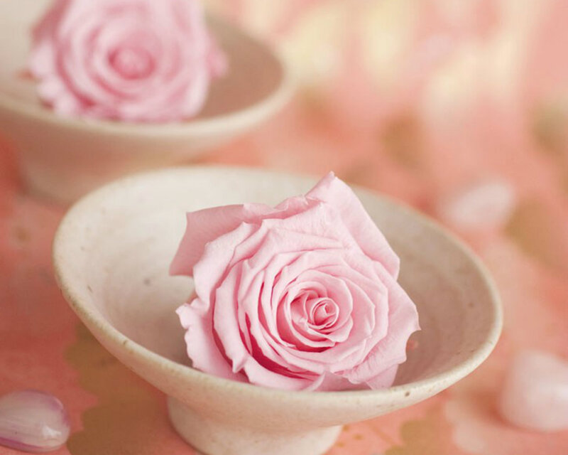 Pink Rose in Bowl