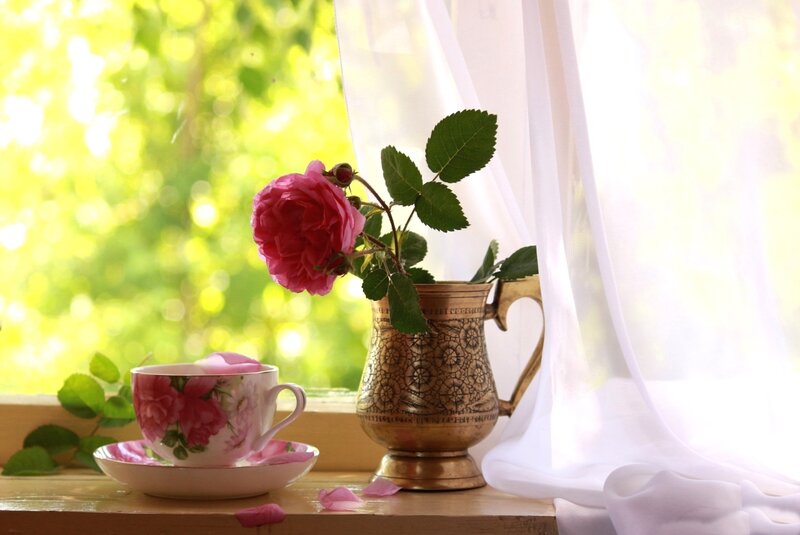 Pink Rose in Brass Pitcher
