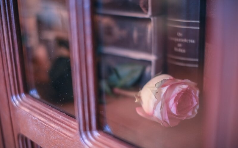 Pink Rose in Cabinet