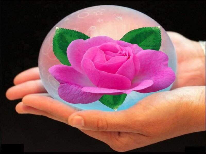 Pink Rose in Crystal Ball