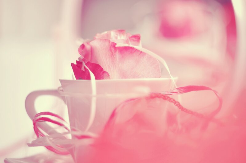 Pink Rose in Cup — Soft