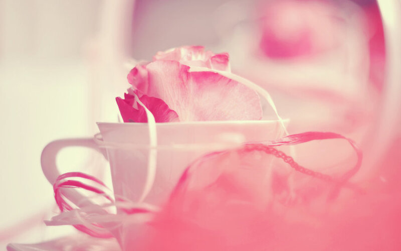 Pink Rose in Cup
