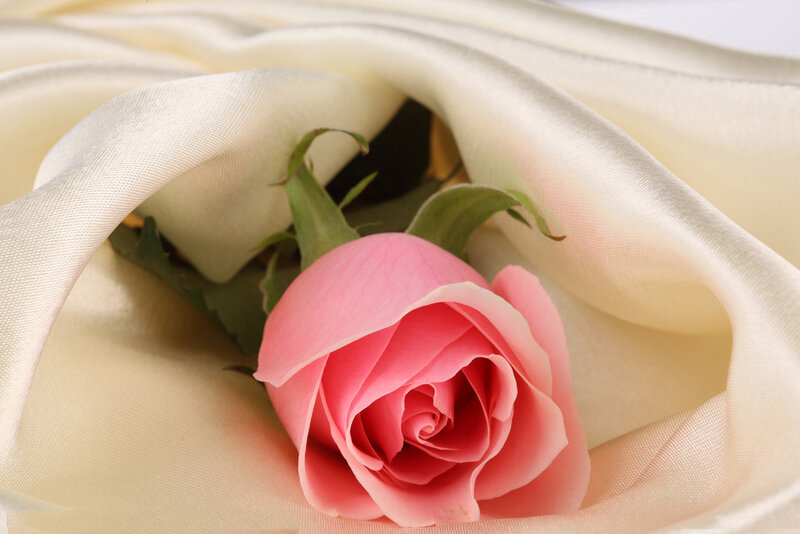 Pink Rose in Fabric