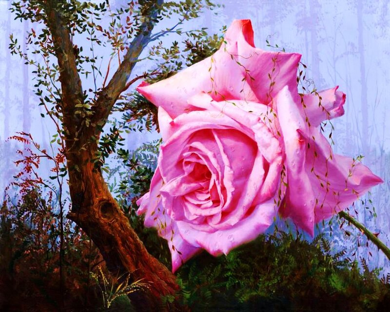 Pink Rose in Forest — Serene