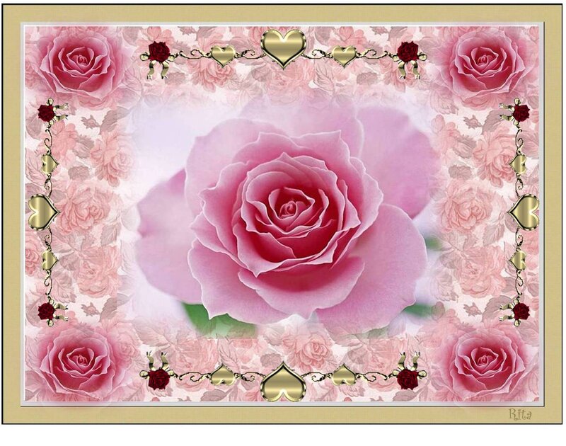 Pink Rose in Frame — Romantic