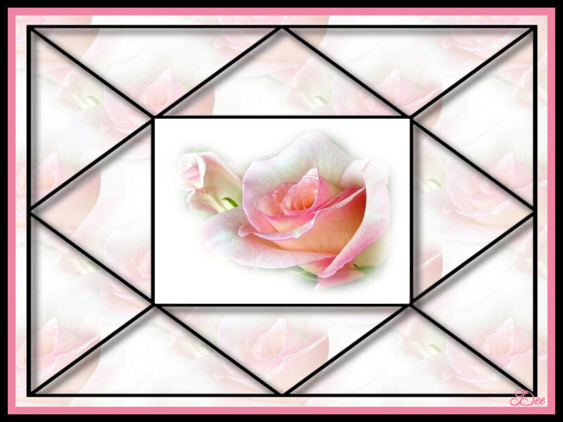 Pink Rose in Frame — Serene, Digital Art