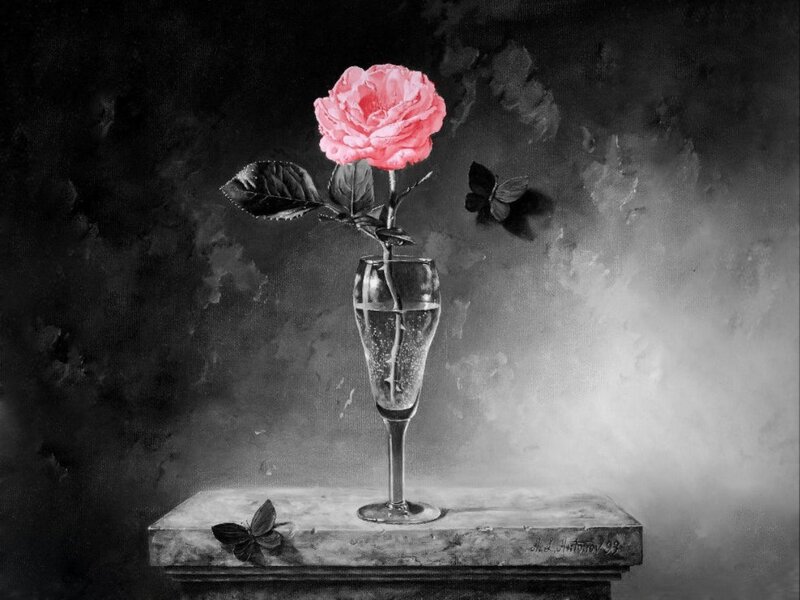 Pink Rose in Glass — Black