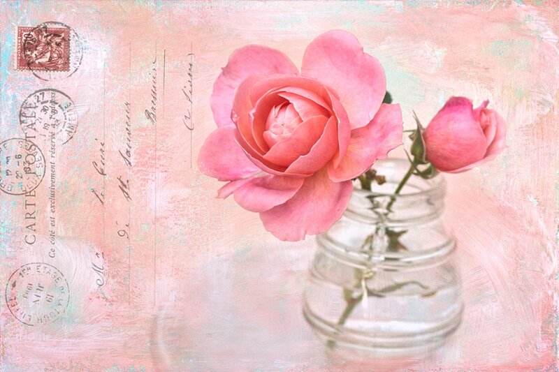 Pink Rose in Glass Jar — Calm