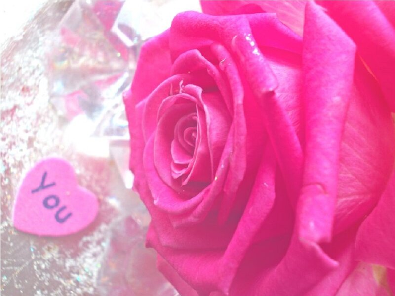 Pink Rose in Glass — Romantic