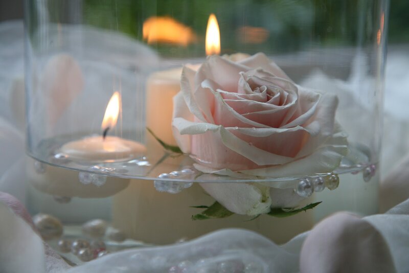 Pink Rose in Glass Vase — Serene