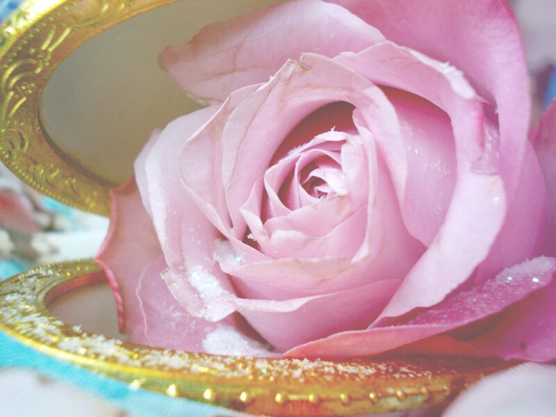 Pink Rose in Gold Frame