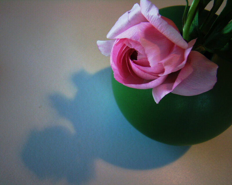Pink Rose in Green Vase
