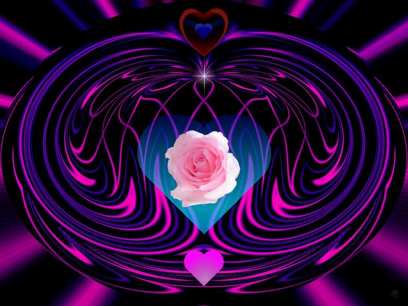 Pink Rose in Heart — Purple