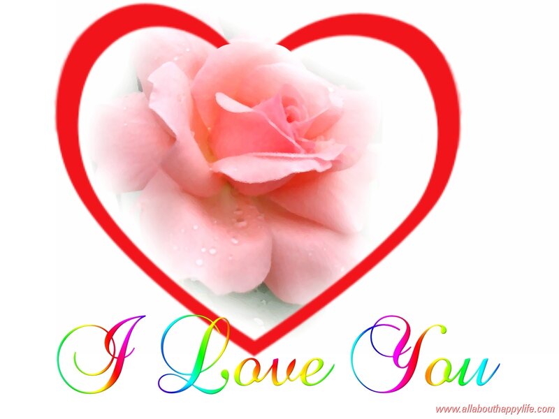 Pink Rose in Heart
