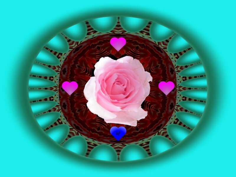 Pink Rose in Mandala