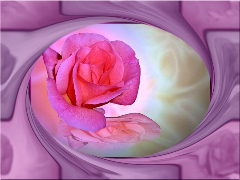 Pink Rose in Oval Frame