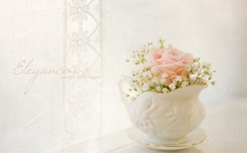 Pink Rose in Pitcher — White