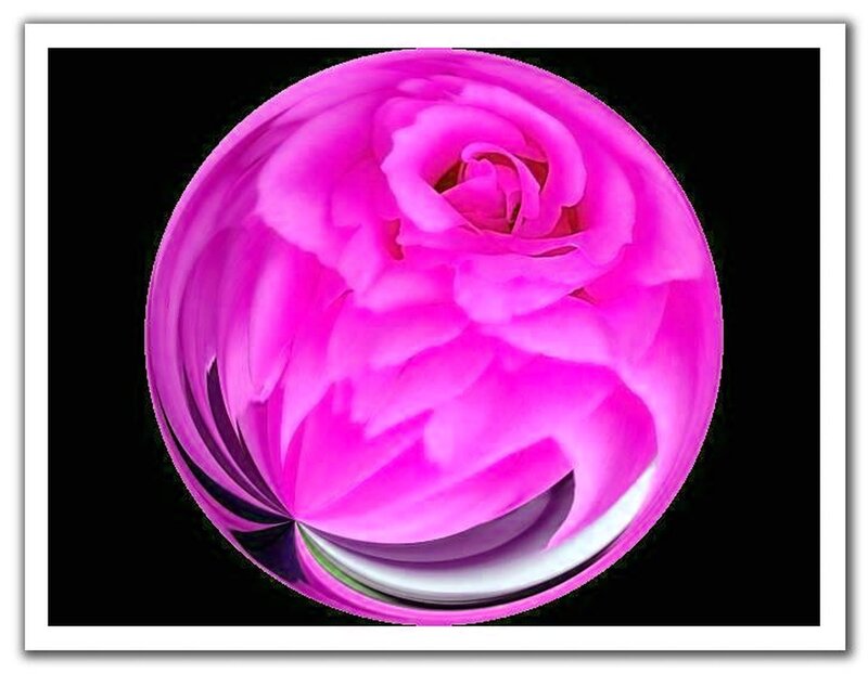 Pink Rose in Sphere