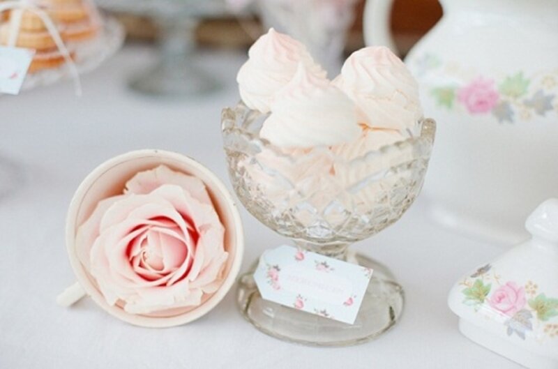 Pink Rose in Teacup — Elegant