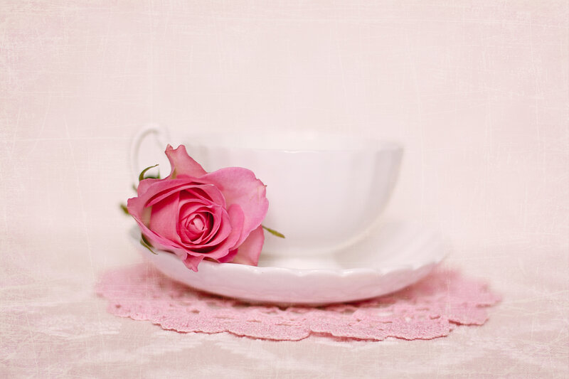 Pink Rose in Teacup — Serene, Photograph, Saucer, Doily