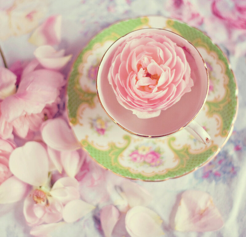 Pink Rose in Teacup — Serene, Photograph, Saucer, Petals