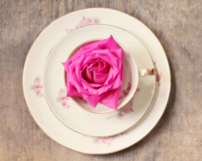 Pink Rose in Teacup — Serene, Photograph, Saucer, Wooden Table