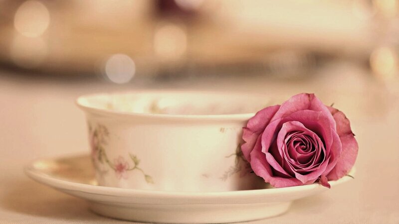 Pink Rose in Teacup — Serene, Photograph