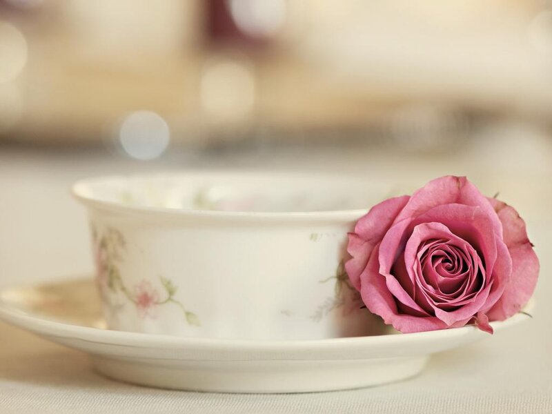 Pink Rose in Teacup — White, Serene