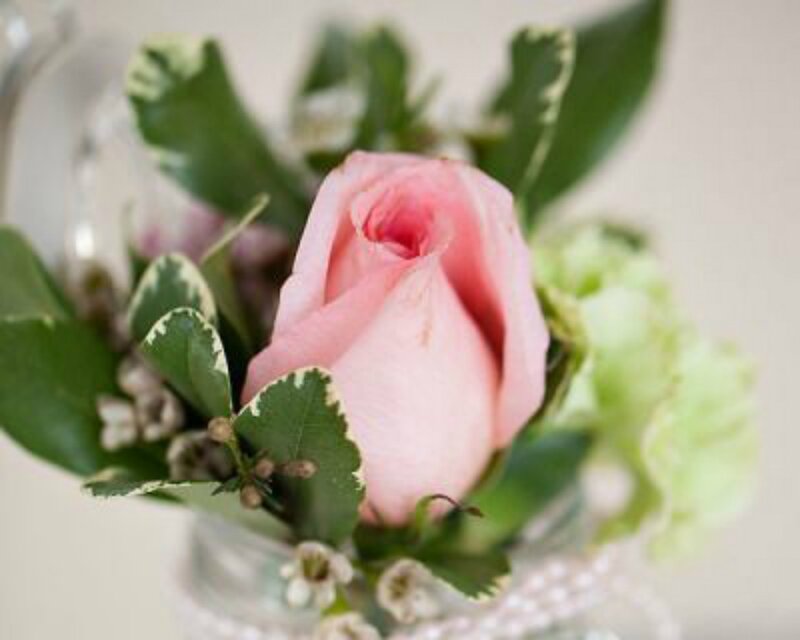 Pink Rose in Vase — Calm, Photograph, Green Leaves, White Flowers