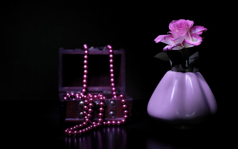 Pink Rose in Vase — Purple, Dramatic
