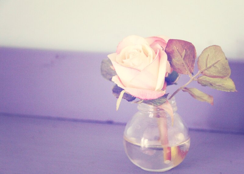 Pink Rose in Vase — Purple