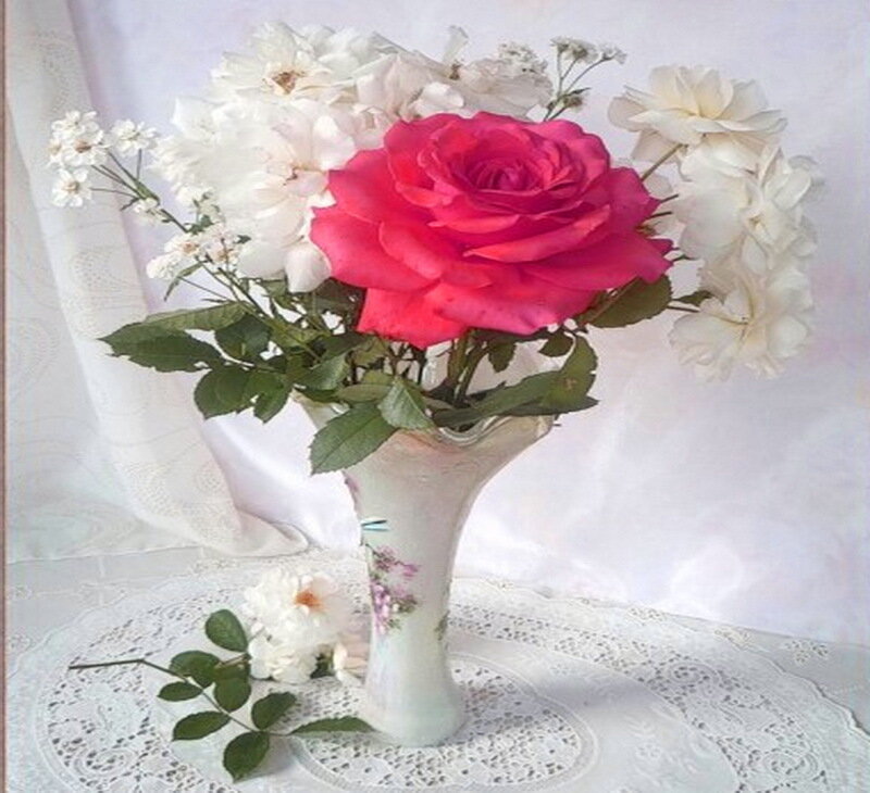 Pink Rose in Vase — Red