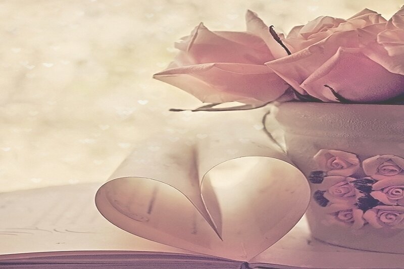 Pink Rose in Vase — Romantic