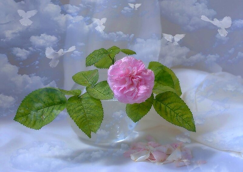 Pink Rose in Vase — Serene, Digital Art
