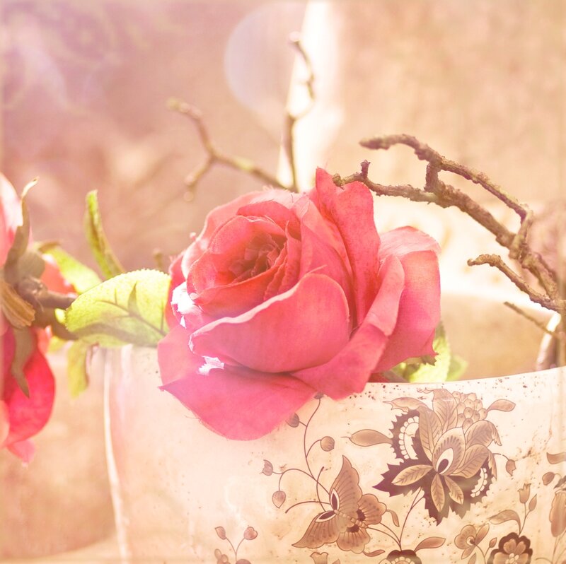 Pink Rose in Vase — Serene, Photograph, Branches