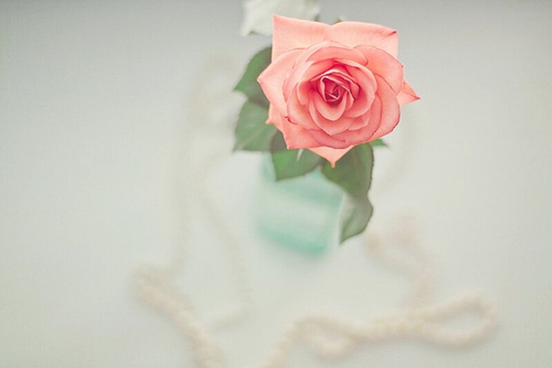 Pink Rose in Vase — Serene, Photograph