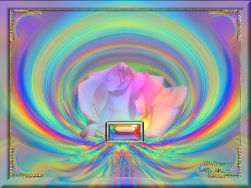 Pink Rose in Vortex