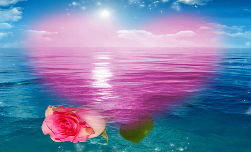 Pink Rose in Water — Blue