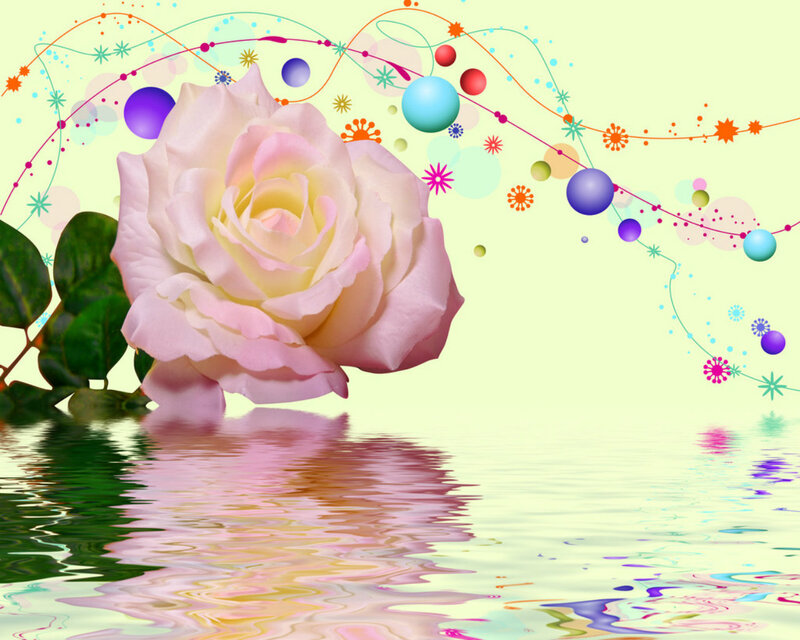 Pink Rose in Water — Serene, Digital Art