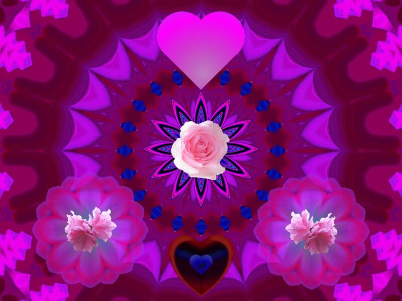 Pink Rose Mandala — Purple, Dreamy