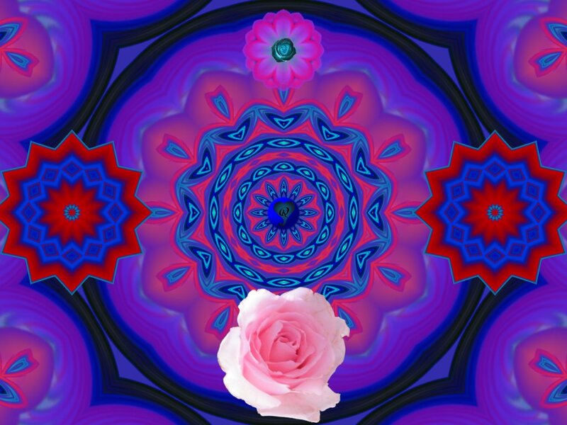 Pink Rose Mandala — Purple