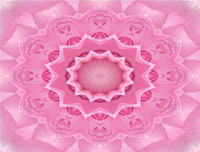 Pink Rose Mandala
