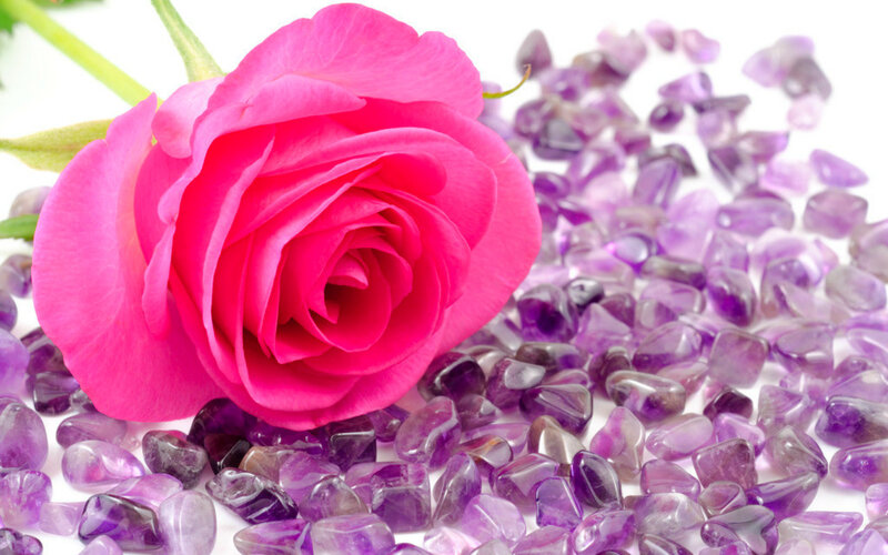 Pink Rose on Amethyst — Calm, Photograph
