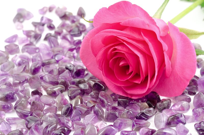 Pink Rose on Amethyst — Calm