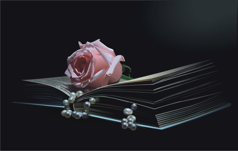 Pink Rose on Book — Black, Dramatic