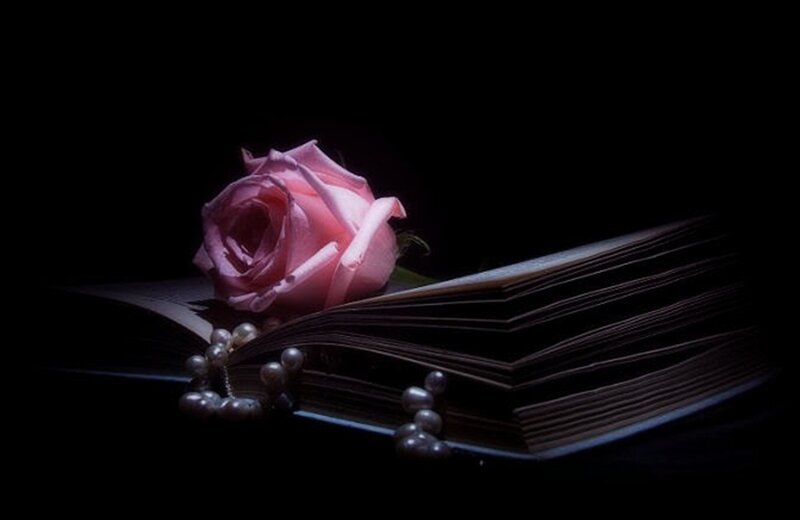 Pink Rose on Book — Black