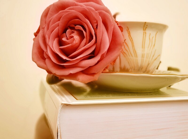 Pink Rose on Book — Calm, Photograph, Teacup