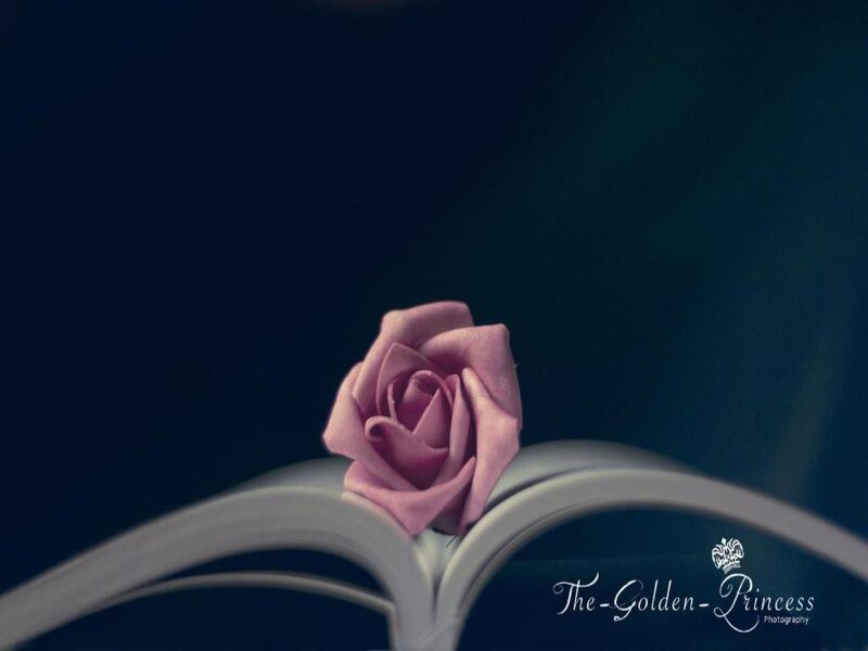 Pink Rose on Book — Purple