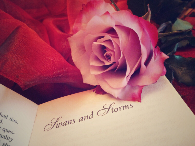 Pink Rose on Book — Red