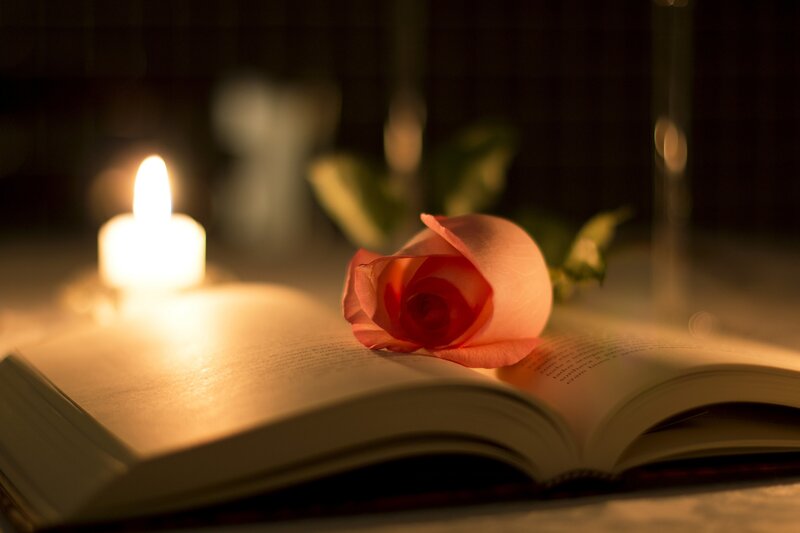 Pink Rose on Book — Serene, Night, Photograph